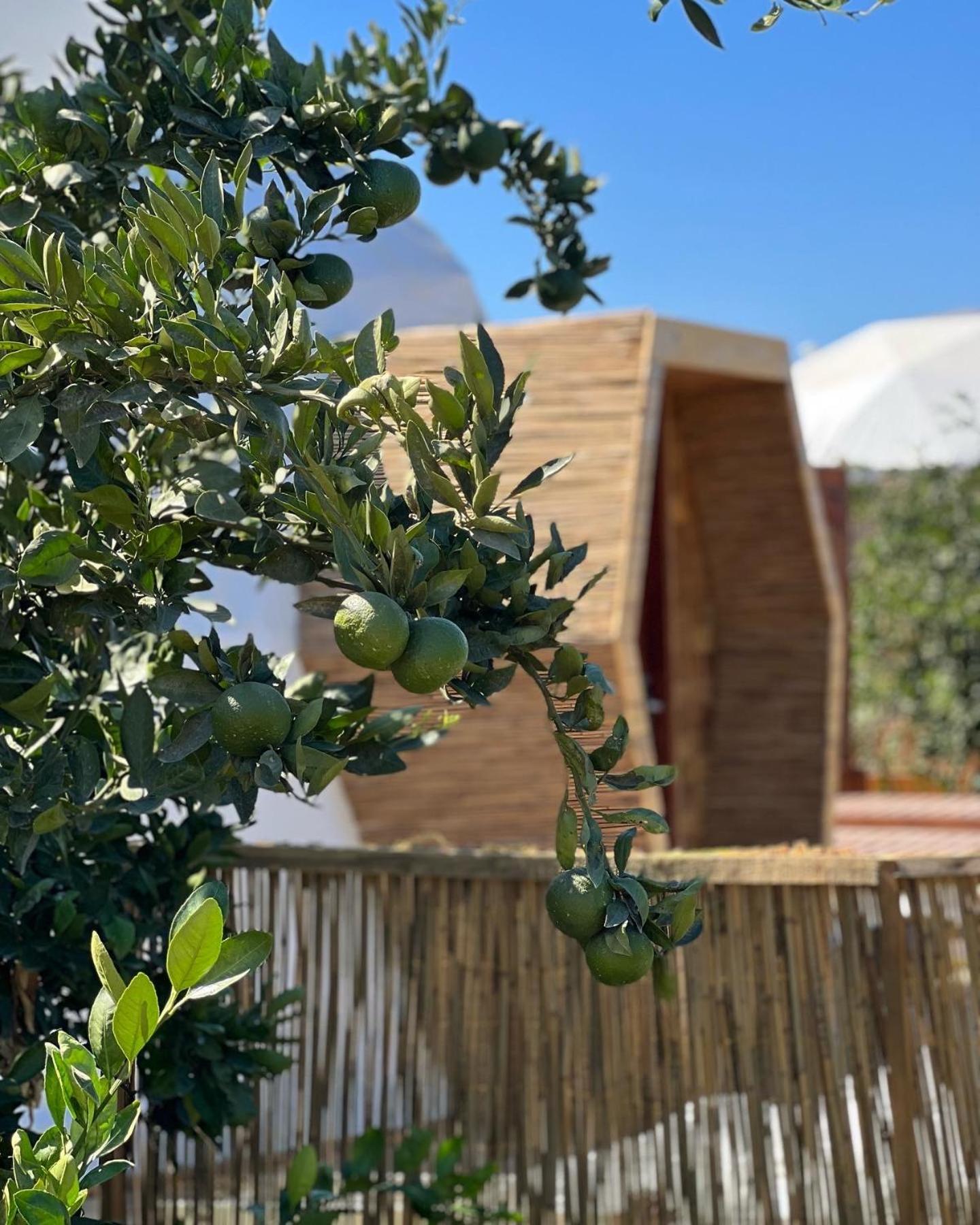 Mandalin Glamping Hotel Selcuk Exterior photo