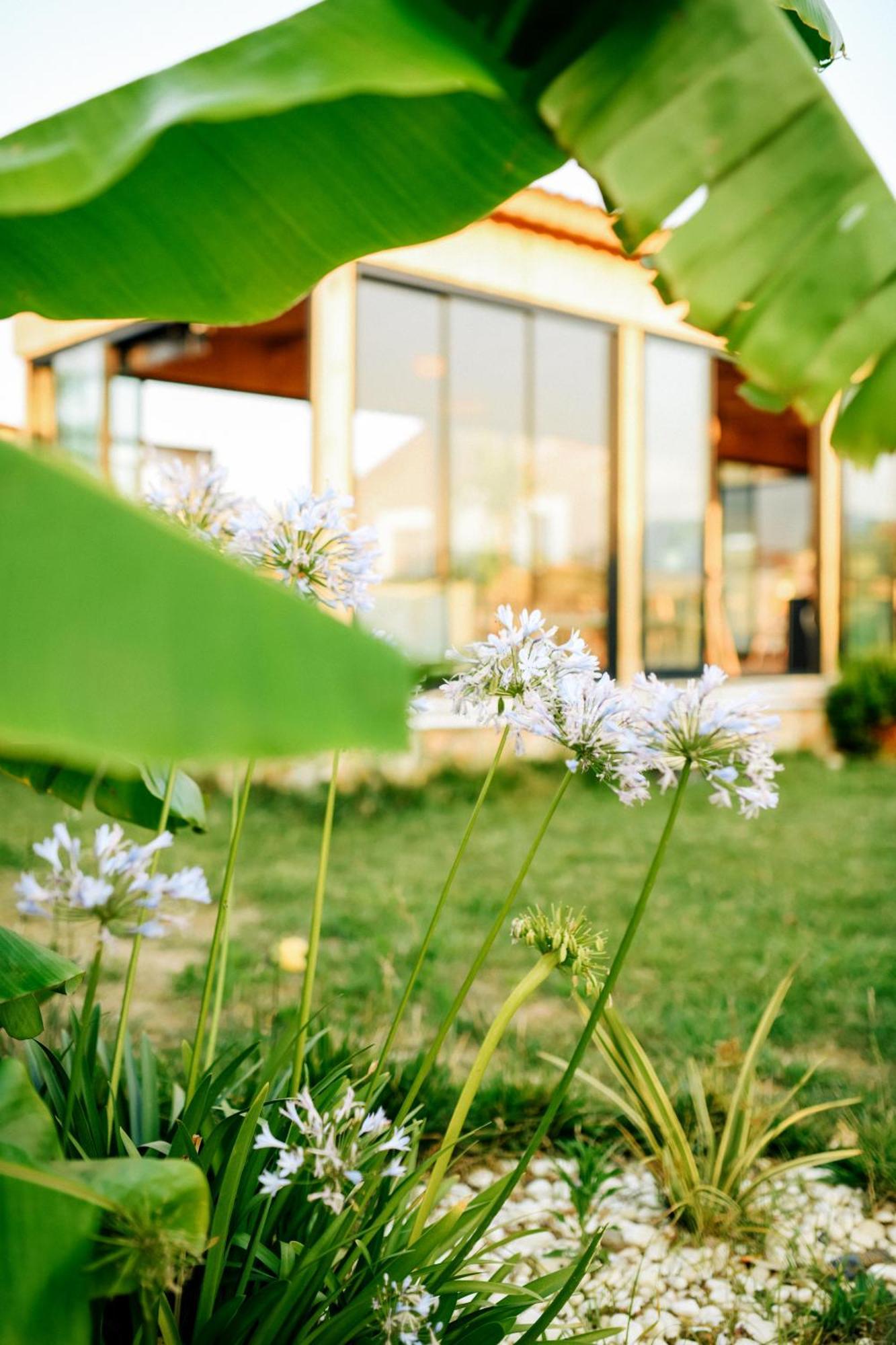 Mandalin Glamping Hotel Selcuk Exterior photo